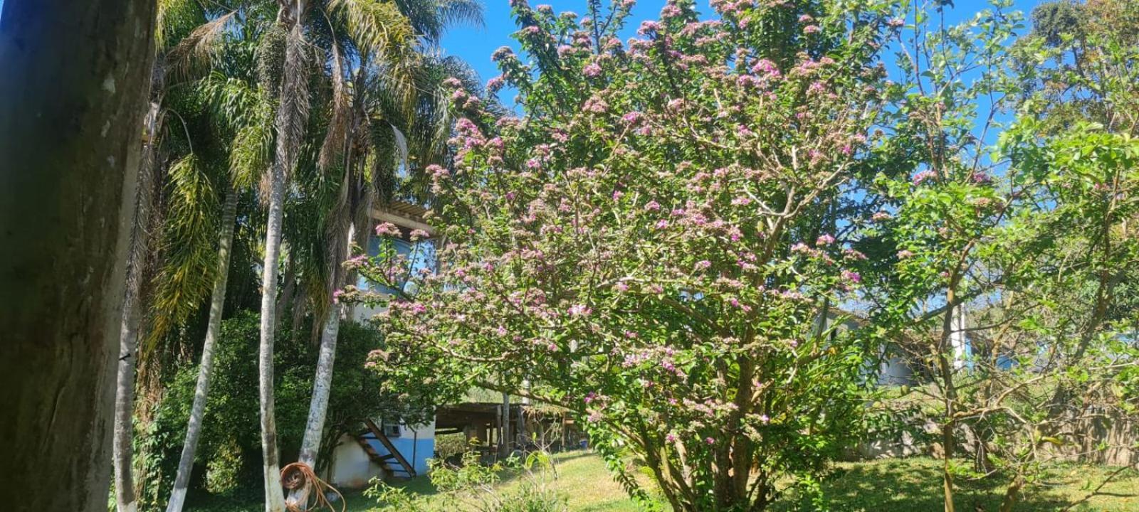 Sitio Ilha Da Madeira Villa Sao Roque  Bagian luar foto